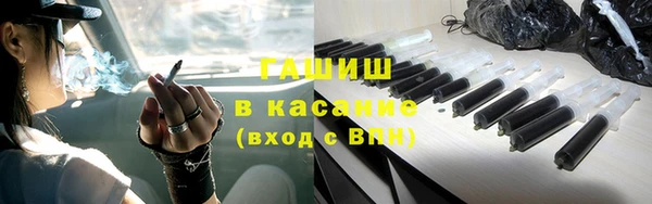 прущие грибы Магадан