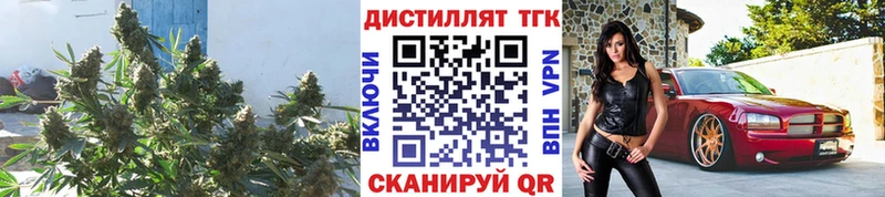 Купить где Тара Дистиллят ТГК THC oil